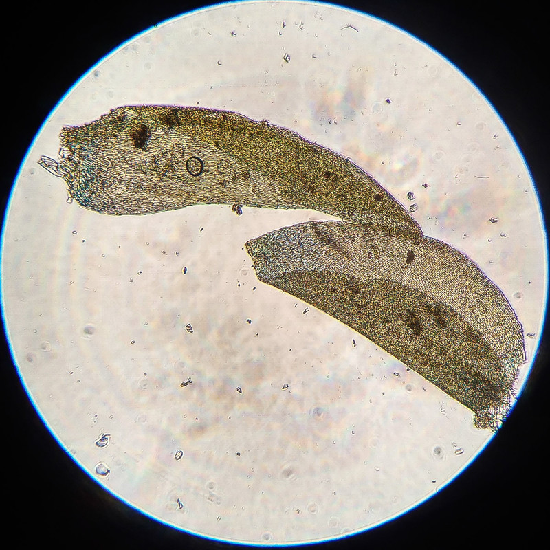 IMG 20250616 220644 HDR