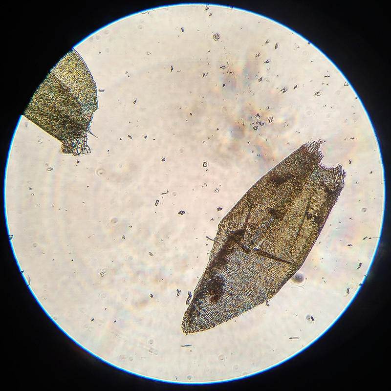 IMG 20250616 220723 HDR