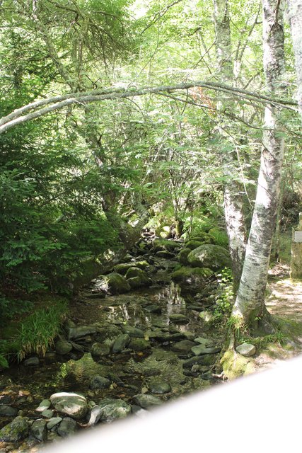 Slowtravel en Sanabria en tiempos de COVID - Blogs de España - Conociendo los alrededores de Puebla de Sanabria (3)