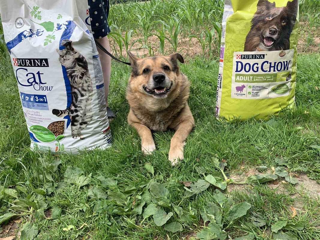 991D5A4C-B5A3-49FA-93A3-51ACC5D396BB