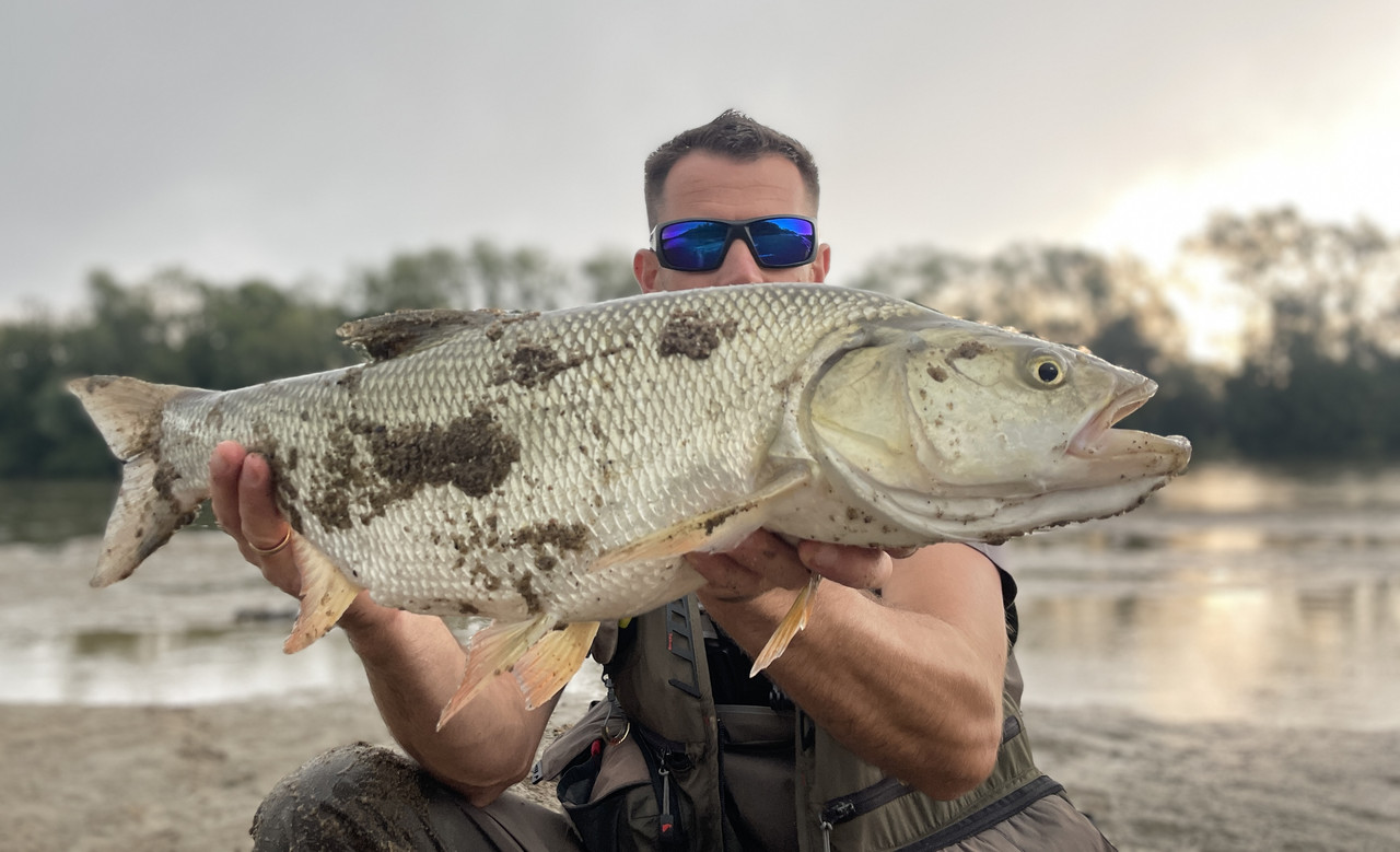 5B43206E-84BE-4B9D-86F9-0CD39E9FD18E