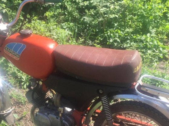 карпатыжелтый