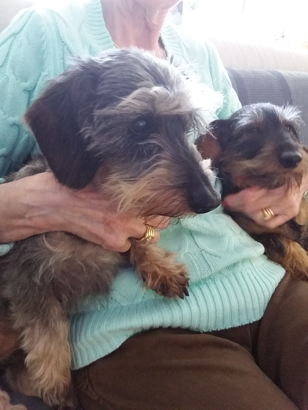 [Image: 20230312-113845.jpg]