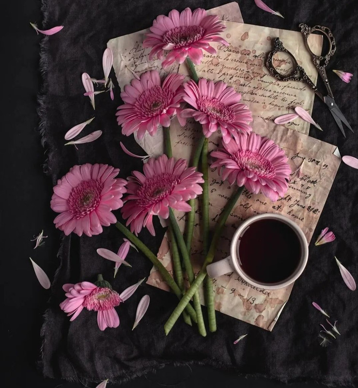 Screenshot_20240112_231018_Instagram