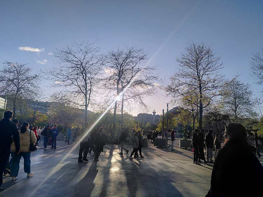 Soleil à travers les arbres d'une place de Paris