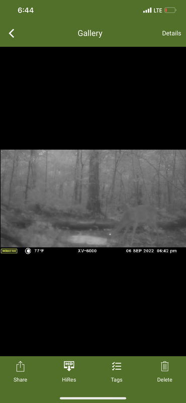 9248DCAE-3241-409E-9C49-92933BF0E2BE