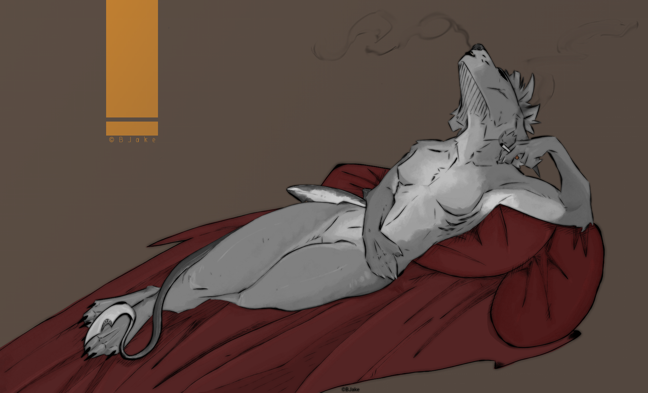 2026 01 26 0qr Kleki