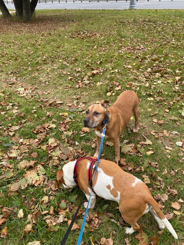 D4D09C5D-B114-4525-B0D4-162D99B05A48