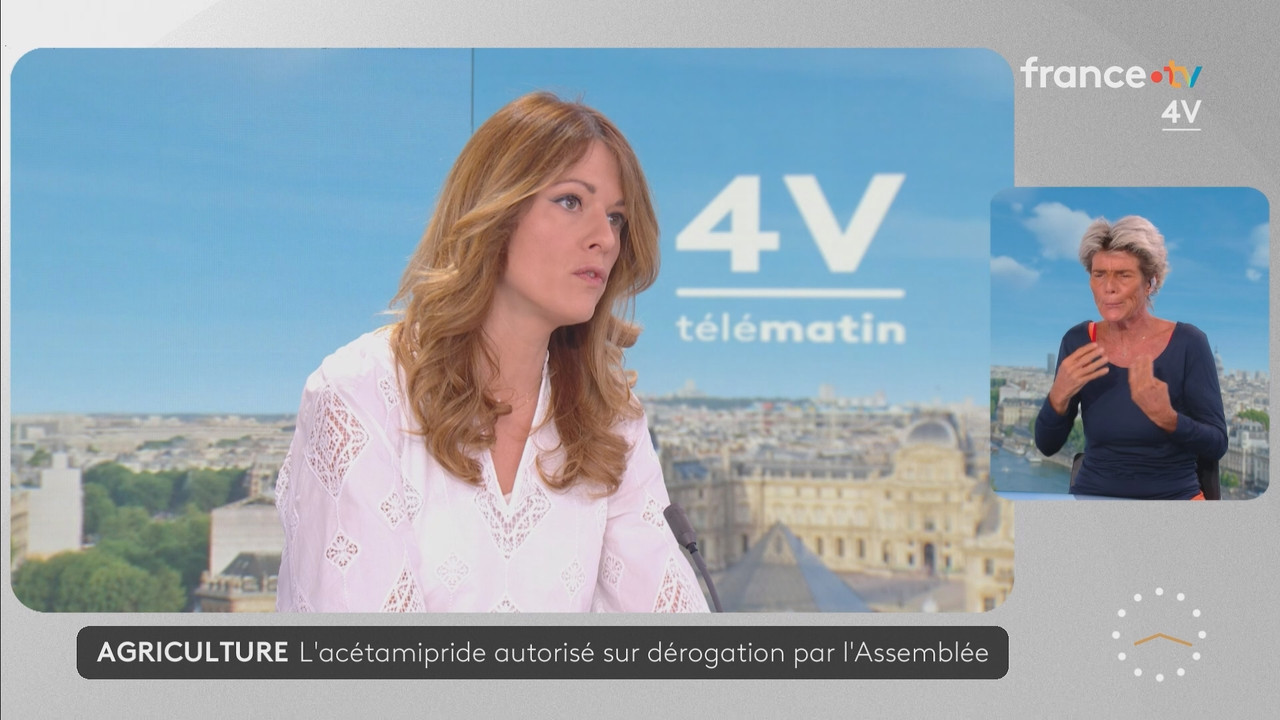 Journal 08h00 (France 2) 2026 07 21 06 55 81 ts snapshot 23 27 579