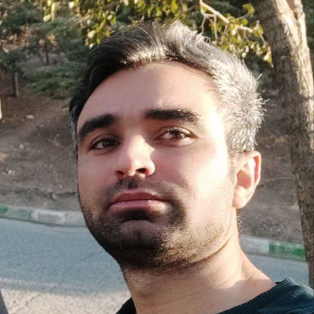 johnnydepp1371.sol Solana Name Service (SNS and .sol domain) PFP