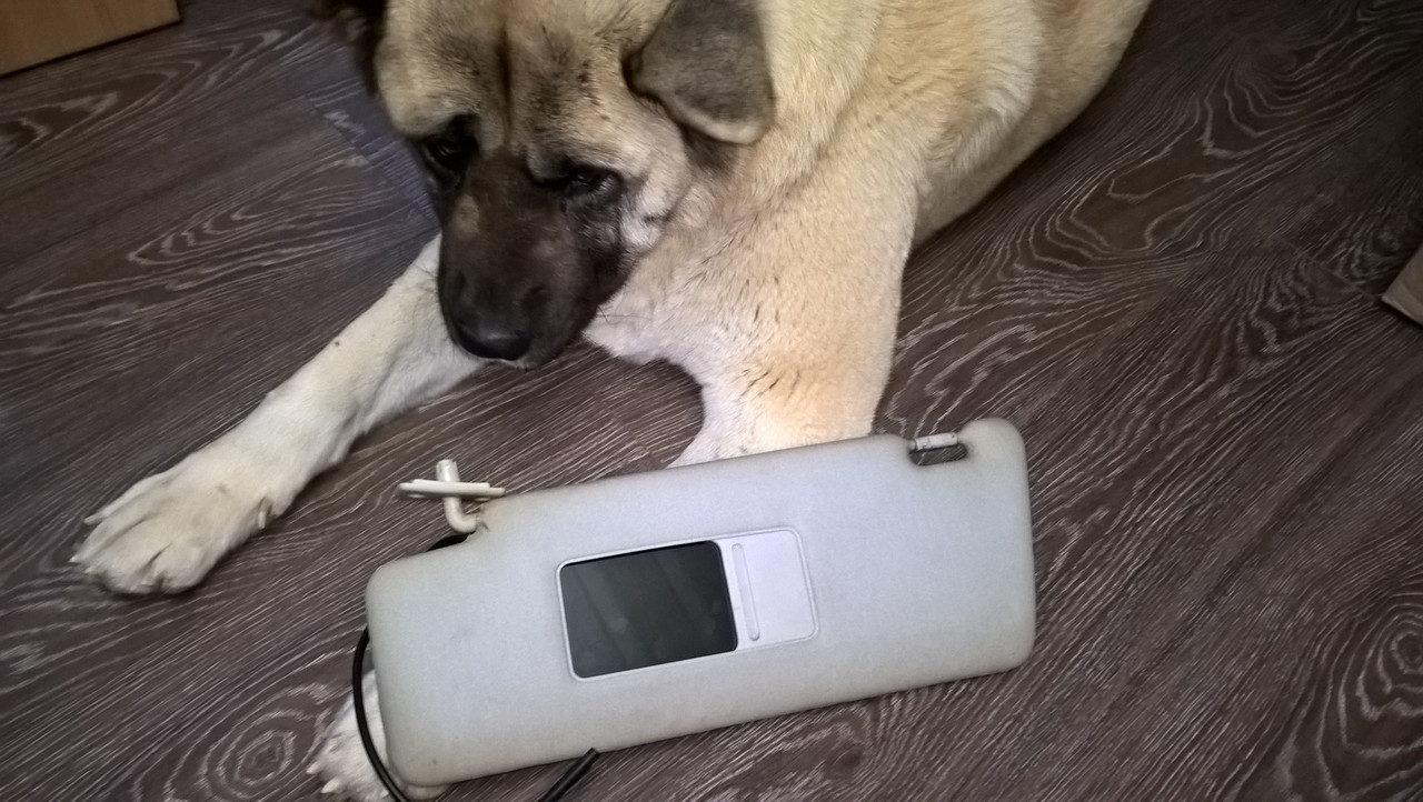 WP_20161217_16_03_59_Pro