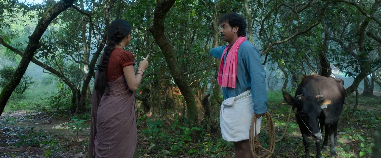 vlcsnap 2026 02 14 10h11m59s698