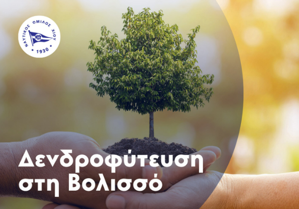 ΝΟΧ: ΔΕΝΔΡΟΦΥΤΕΥΣΗ ΣΤΗ ΒΟΛΙΣΣΟ