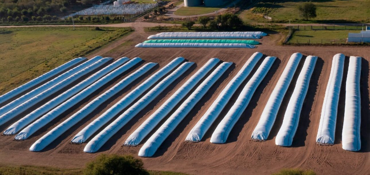 Bolsas de silo en el campo - Almacenamiento agrícola profesional