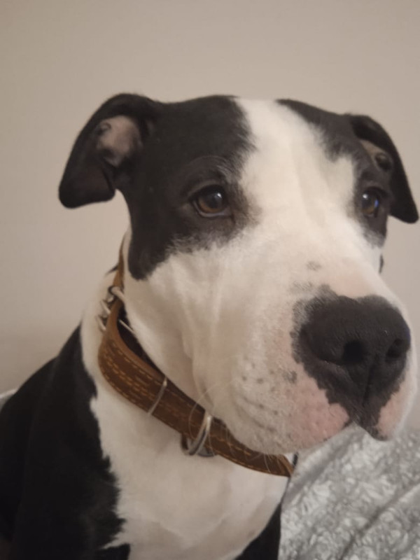 32CC04FA-4054-4907-9C9E-E0F5EC1F83CF