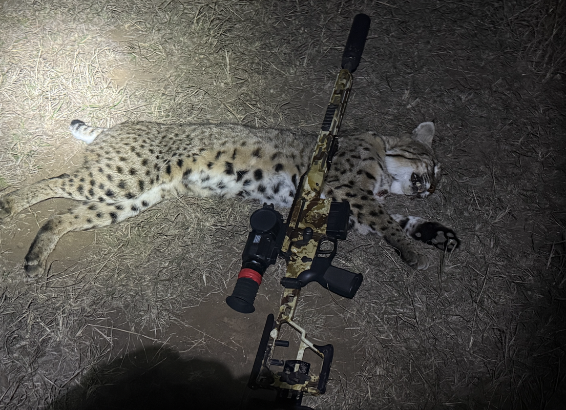 Screen Shot 2025-07-29 at 8.12.04 AM