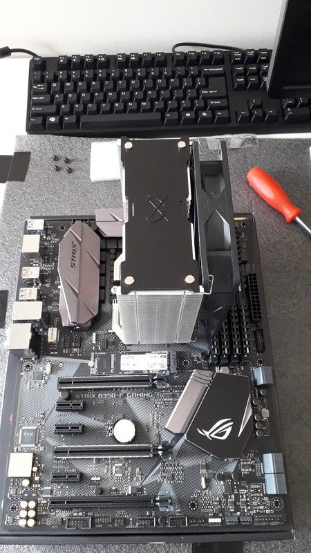 Spring Cleaning (04)