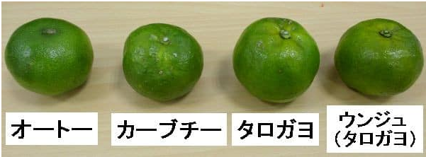 Nová bitová mapa (2)