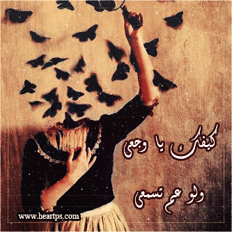 ���� ���� ������ �� ���� ������