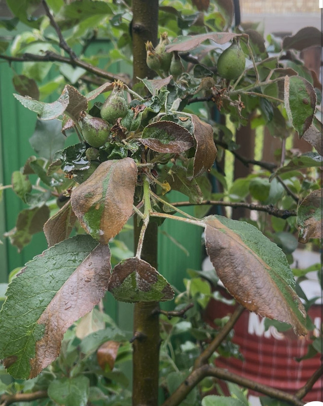 изображение_viber_2025-05-27_08-10-37-760