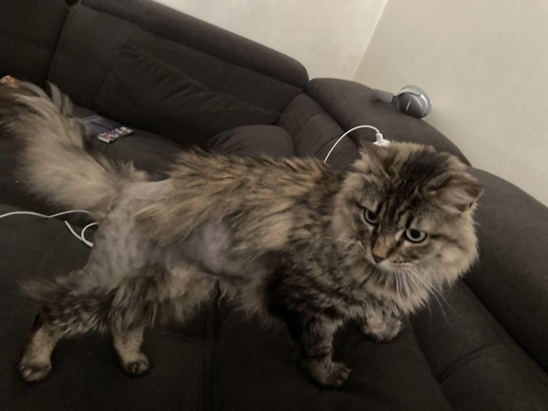 received_251255970819477