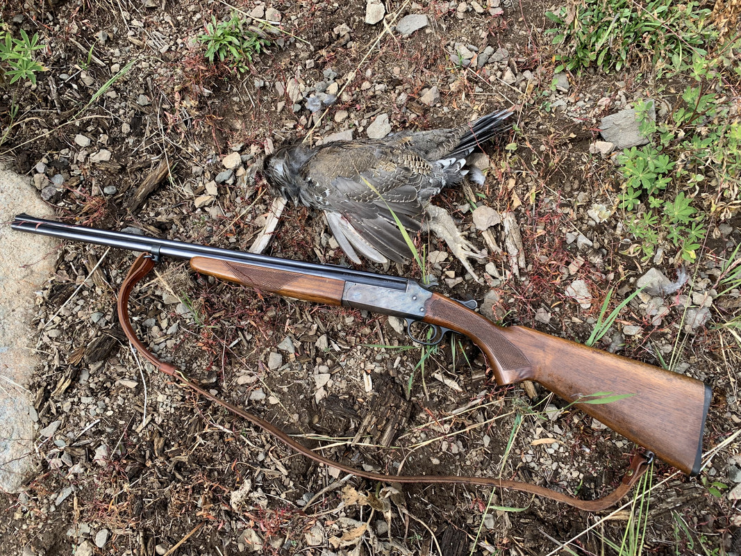 2D147771-1365-42E9-960C-DF5B5C251EF4