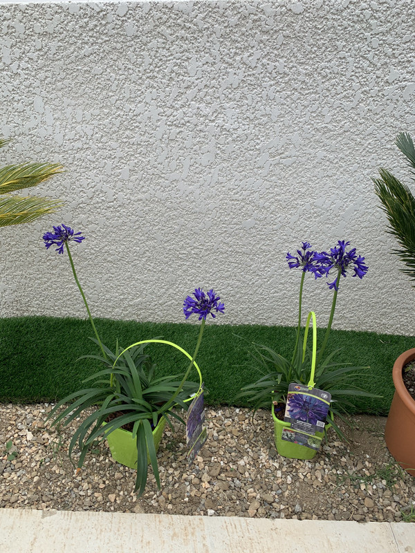 78AAFB40-B73A-4DC5-9313-C0A033FF75A3