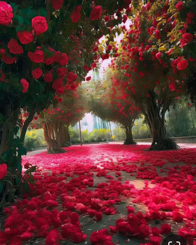 Screenshot_20240424_222158_Pinterest