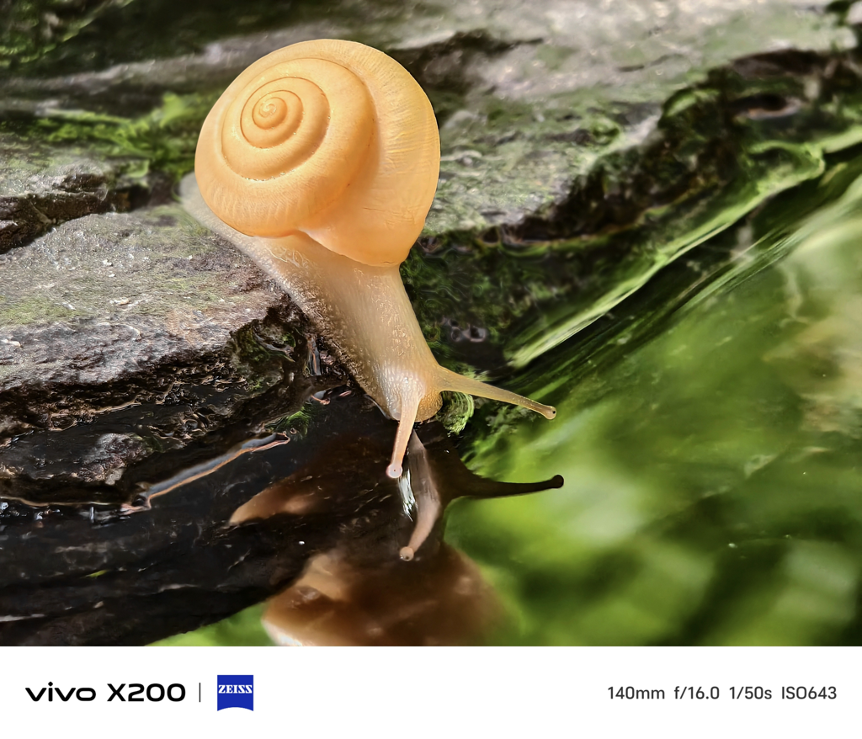 TCBC-vivo-X200-ra-ma-t-ta-i-thi-tru-o-ng-no-i-i-a-2.png