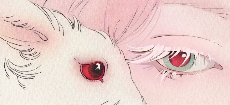 eye