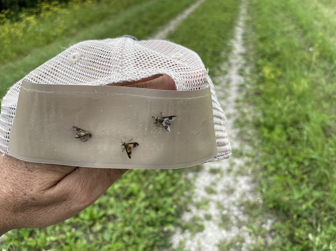 93D9AD20-273C-4501-82C7-4FB2C7692B19