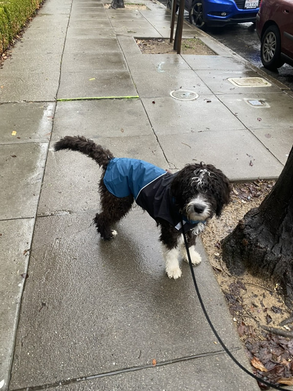 650738-E2-498-E-443-F-ABE5-7-A165-D9-FB043-1-105-c