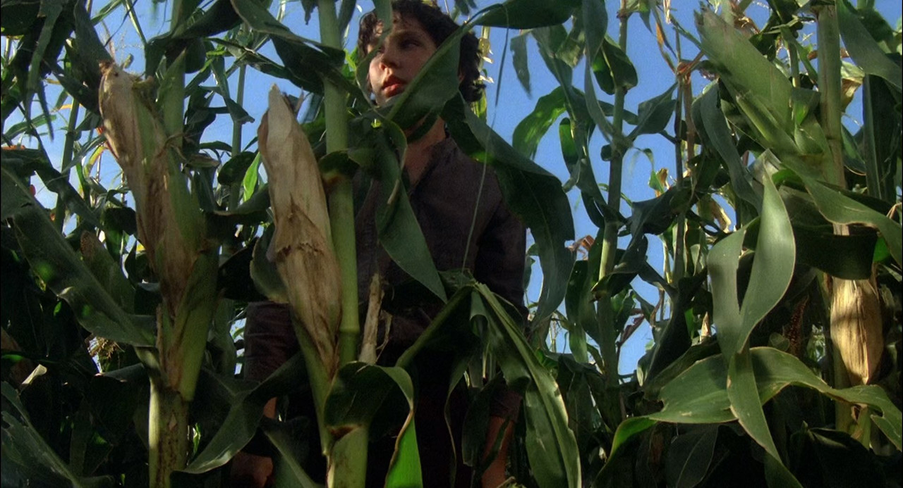 Children of the Corn 1984 (1080p x265 10bit Tigole).mkv_snapshot