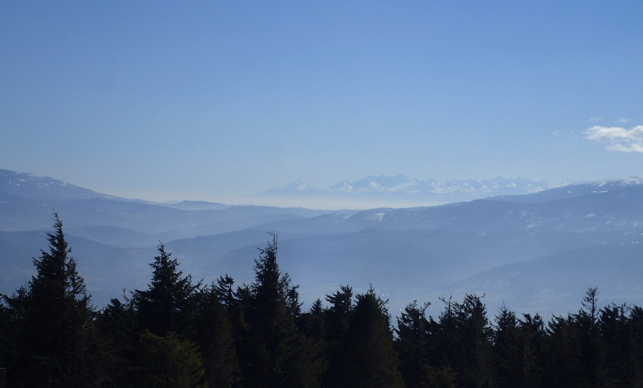 2019_0323SKRZYCZNE0039