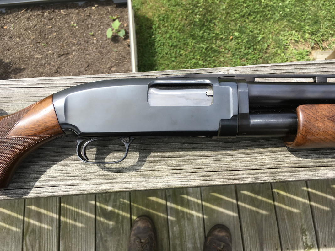 95D1BB2C-C06A-4230-A08C-9F5009C6F563