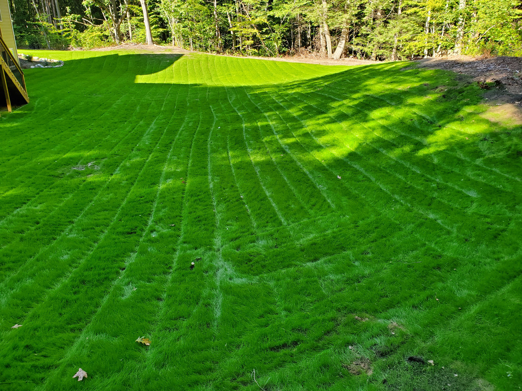 93712D3E-CCC4-4193-85AA-C319D205895D