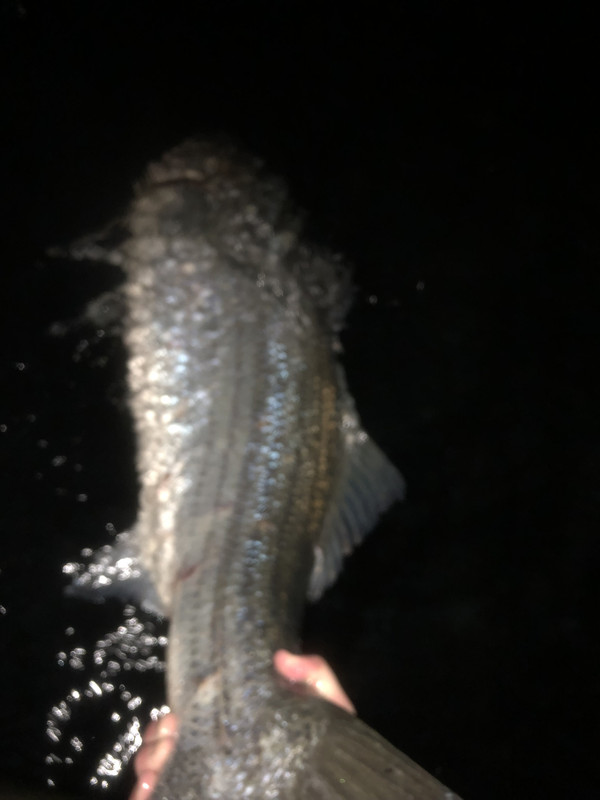 42930043-FDD4-4C19-B0EC-C12A63A086F7