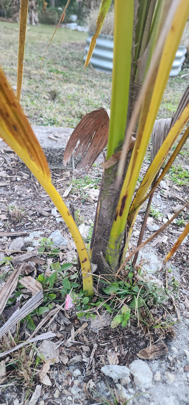 att RRNNmq4Dh WN12Ug R5v Au TWuwrv Jn EZvt7VAIIbtt H k