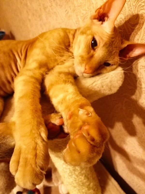 234A20F2-600E-49CB-87B5-A930E090CCEC