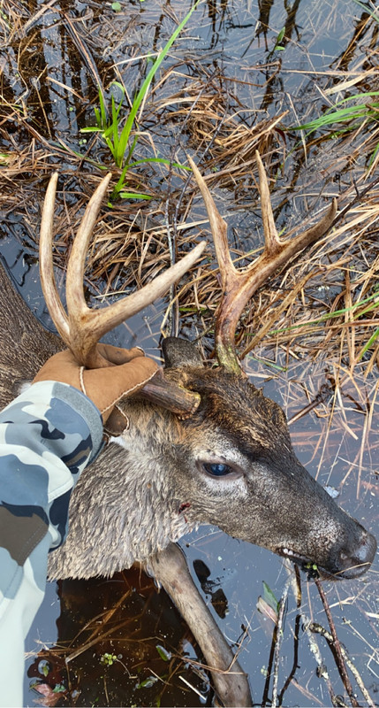 75CD3586-BA2E-40CC-B600-05EB99D7E758