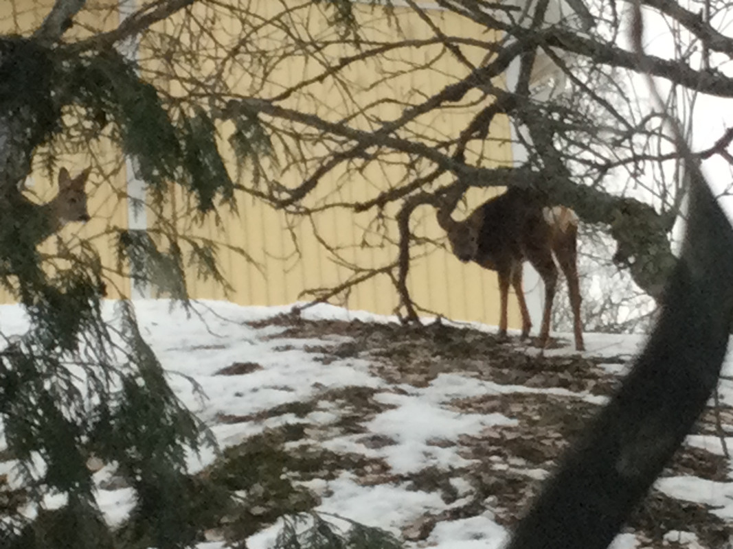 A62F9E2F-44F4-4F69-82A2-390CCDB11AF5