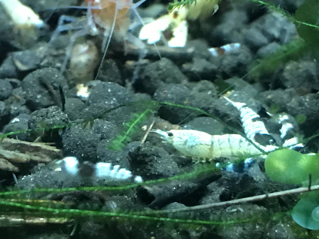 AE48BFA9-22A3-439C-856B-2CA5DEF9AFB3