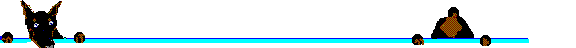 zxclo