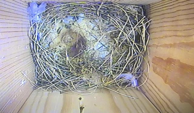 F14D6CBE-CE13-411D-B8CF-1432F4F22A68