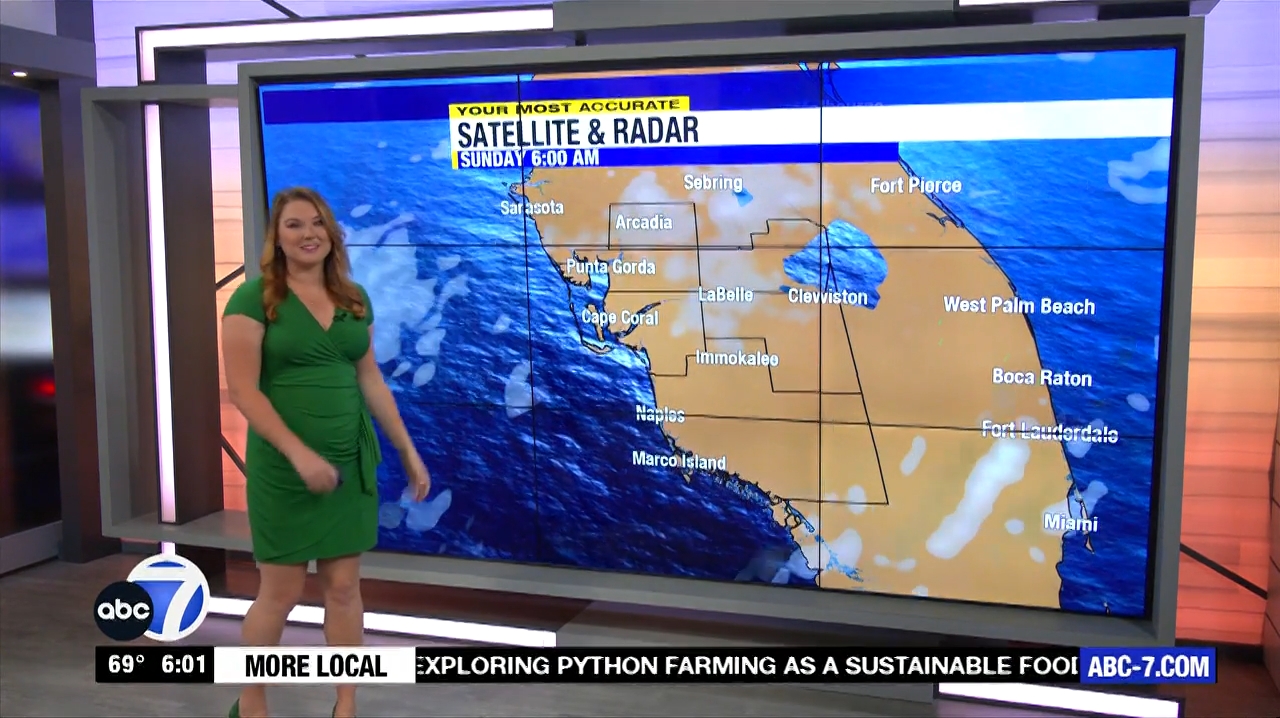 Abc7 More In The Morning Wkn 6Am Su 20240317 10001100-1.mp4_snapshot_01.47.480
