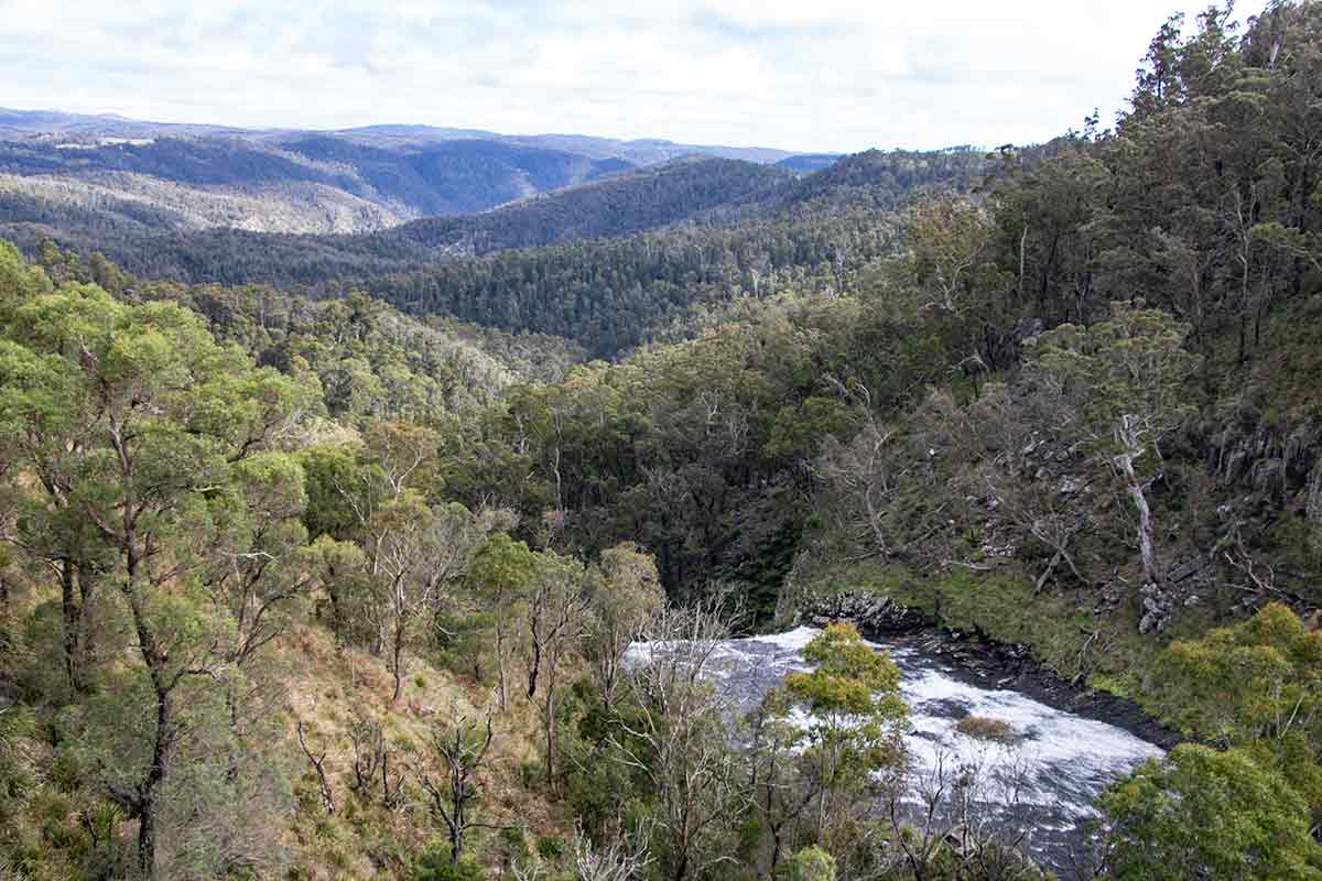 The Guy Fawkes River near Ebor Falls