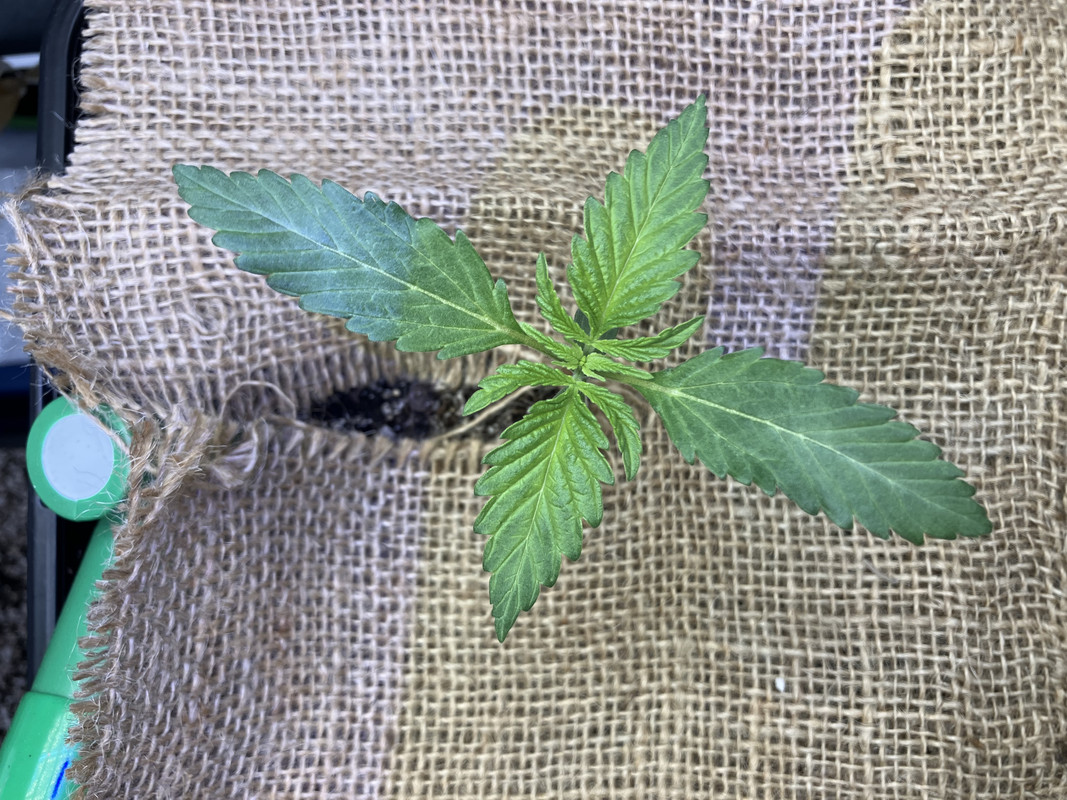 2A5696F6-AD96-409E-89DD-58B09FEECAF9