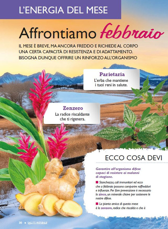 Sal Nat Feb 2025 (1)