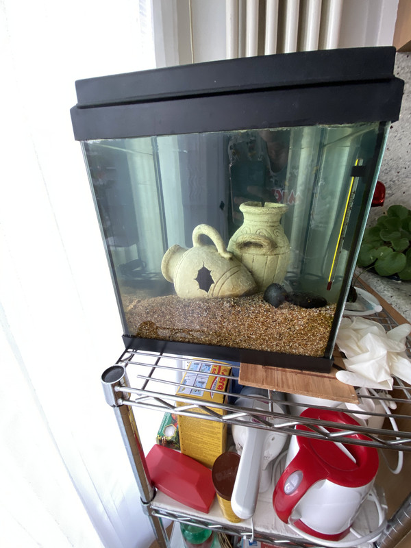 B5AD0D61-9D8A-4B63-A2A4-E0C1FEB91301