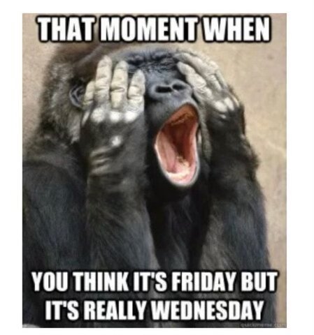 Wednesday_NOT_Friday